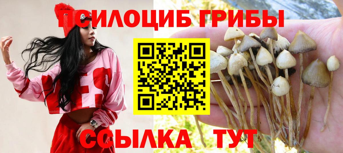 Карабулак  Галлюциногенные грибы MAGIC MUSHROOMS  Вход с VPN 